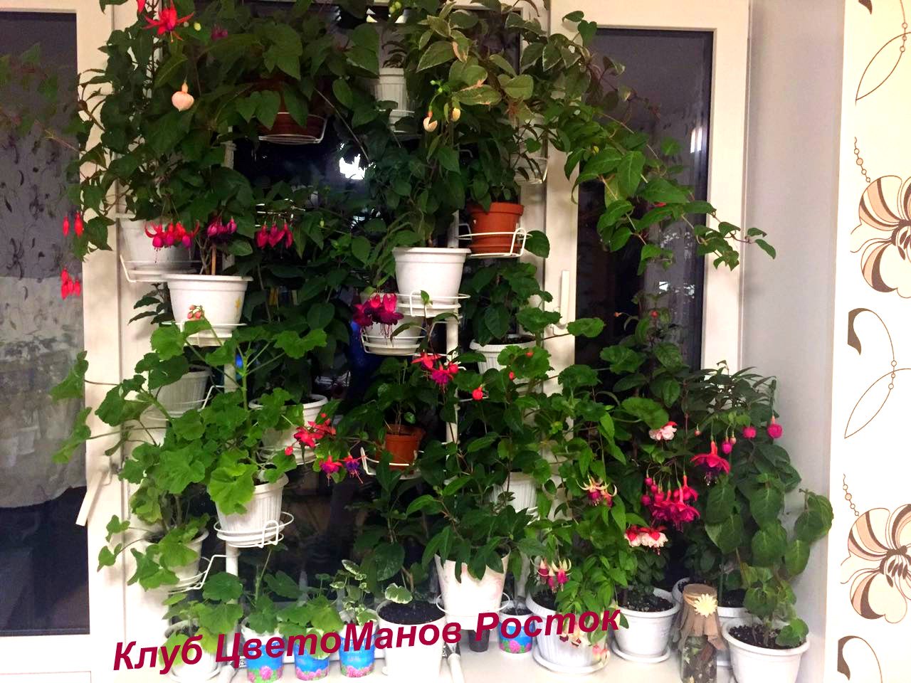 разборная подставка на пол и на окно металлическая. Фото N22