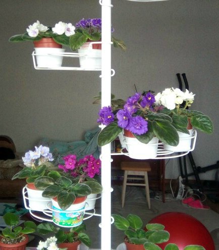 разборная подставка на пол и на окно металлическая. Фото N15