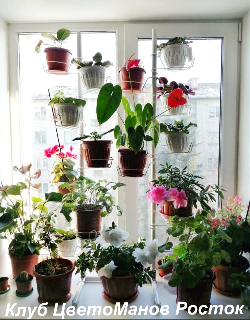 разборная подставка на пол и на окно металлическая. Фото N23