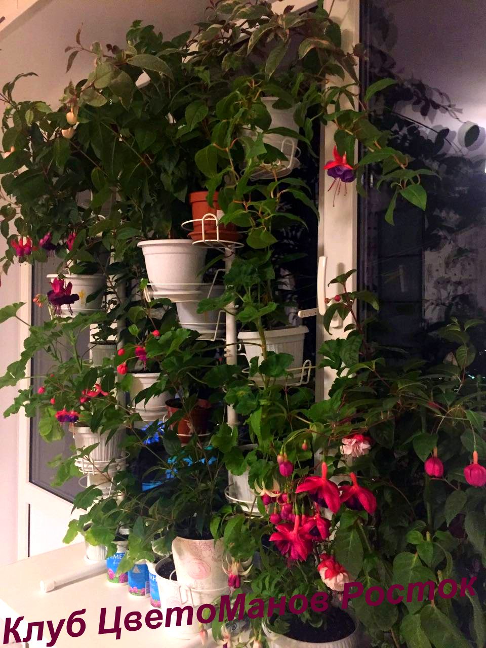 разборная подставка на пол и на окно металлическая. Фото N20