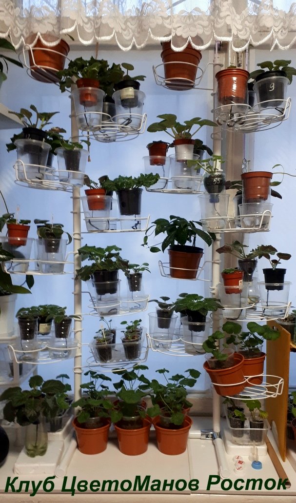 разборная подставка на пол и на окно металлическая. Фото N16